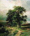 chêne 1865 paysage classique Ivan Ivanovitch arbres